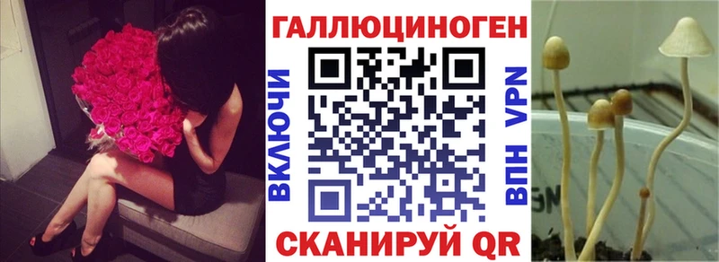 Псилоцибиновые грибы Cubensis Бородино