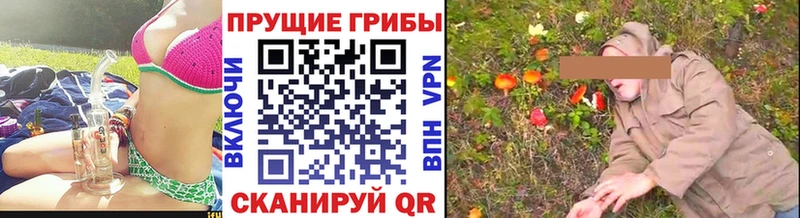 Галлюциногенные грибы прущие грибы  купить наркотик  Бородино 