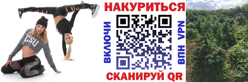 Шишки марихуана MAZAR Бородино